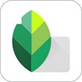 Snapseed官方正版app下载_Snapseed2024中文版下载安装