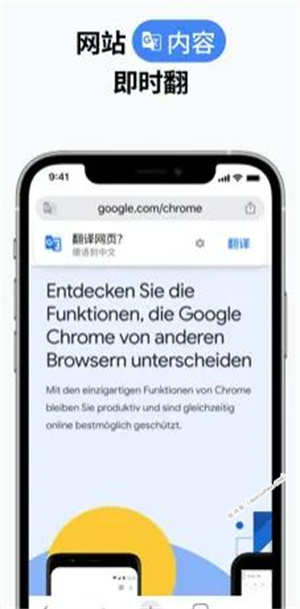 Google Chrome